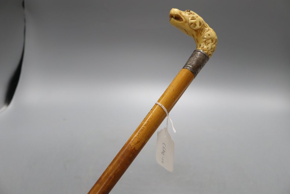 A Victorian ivory hounds head handle walking cane